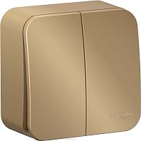 Выключатель накладной Systeme Electric Blanca 2-кл. титан картинка